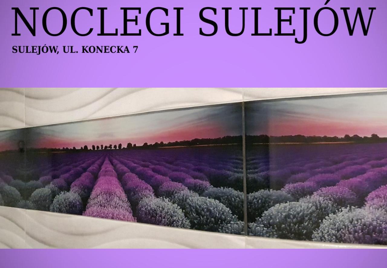 Noclegi Sulejow Luaran gambar